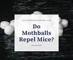 Do Mothballs Repel Mice
