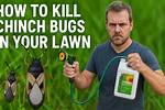 Do Nematodes Kill Chinch Bugs?