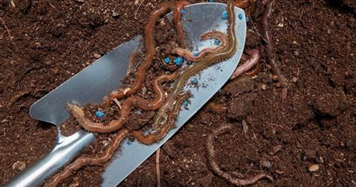 Do Nematodes Kill Earthworms?