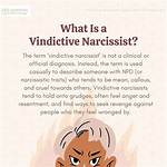 Do Not Vindictive Meaning?