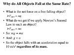 Do Objects Fall at the Same Rate in a Vacuum?