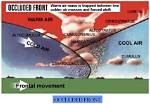 Do Occluded Fronts Move?