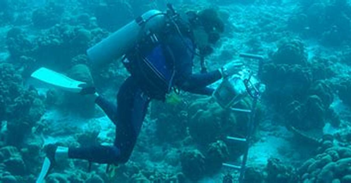 Do Oceanographers Study the Ocean?