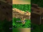 Do Ocelots Kill Creepers?