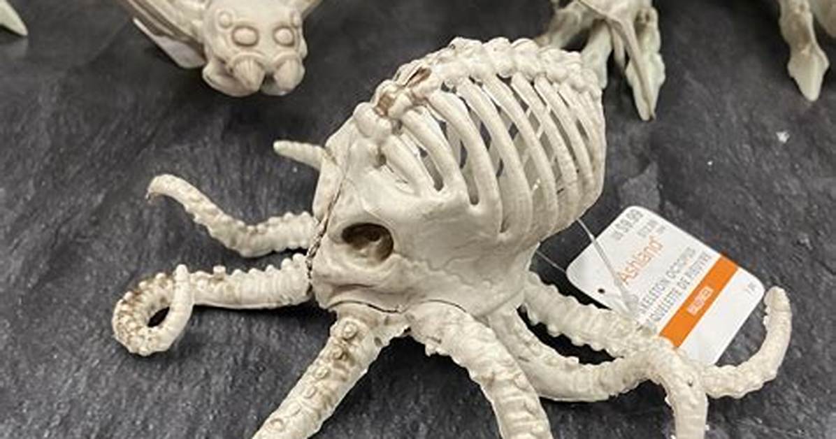 Do Octopus Have Bones