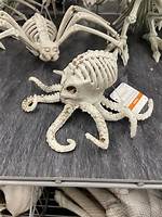 Do Octopus Have Bones