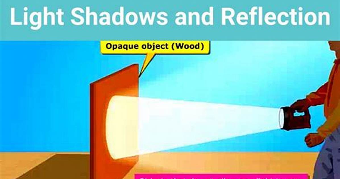 Do Opaque Objects Reflect Light?