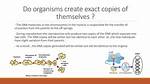 Do Organisms Create Exact Copies?
