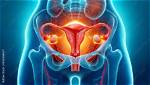Do Ovaries Grow Back?