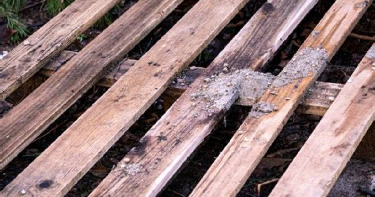 Do Pallets Rot