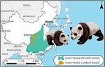 Do Pandas Naturally Spawn?