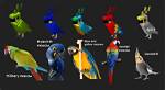 Do Parrots Tp in Minecraft?