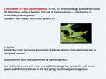 Do Parthenogenesis Lay Eggs?