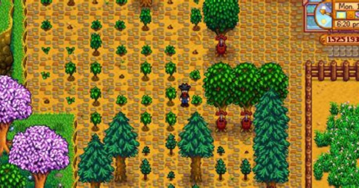 Do Paths Block Tree Growth Stardew?