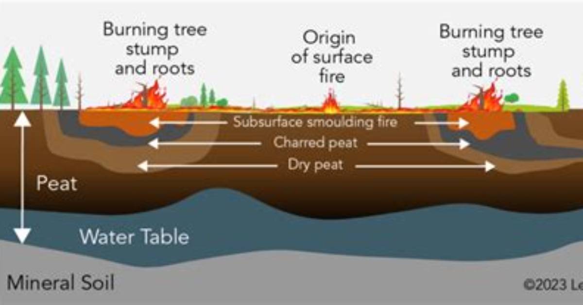 Do Peat Bogs Catch Fire