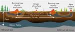 Do Peat Bogs Catch Fire