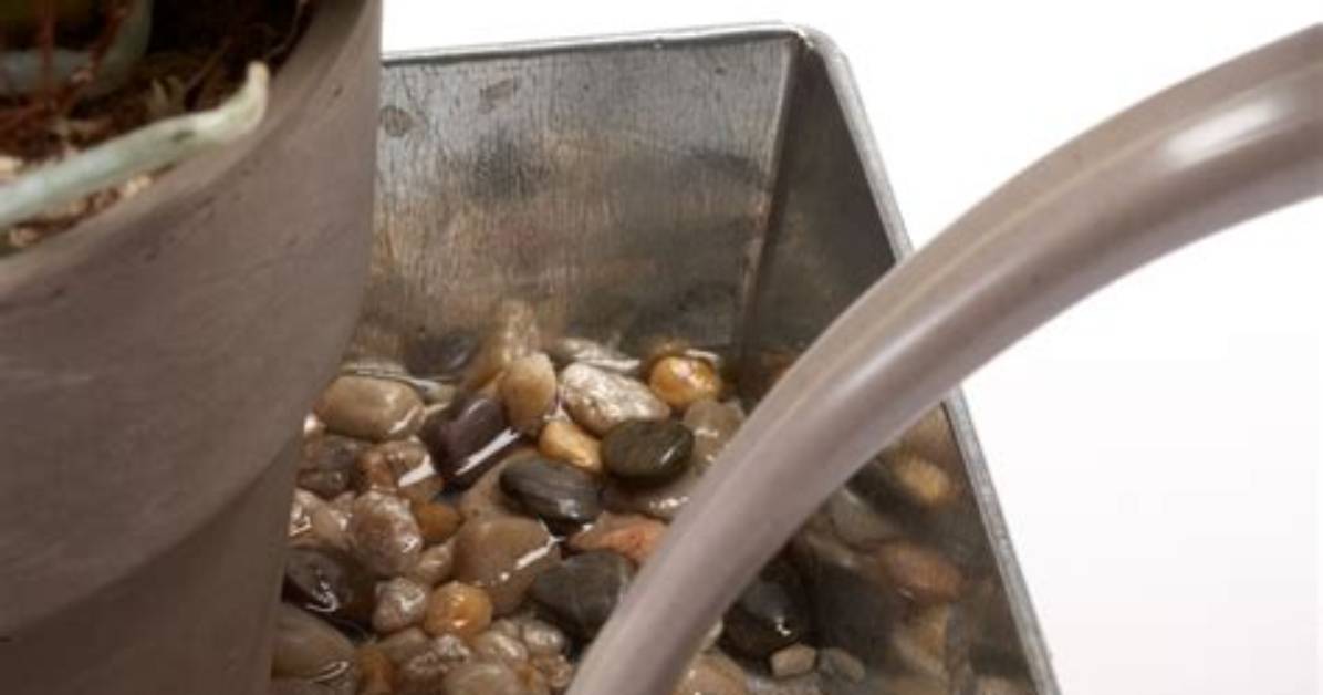 Do Pebble Trays Work?