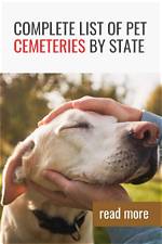 Do Pet Cemeteries Exist?