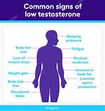 Do Phytoestrogens Lower Testosterone?