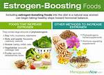 Do Phytosterols Increase Estrogen?
