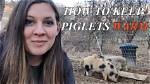 Do Piglets Need Heat?