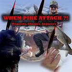 Do Pike Attack Humans?