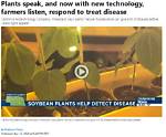 Do Plants Speak