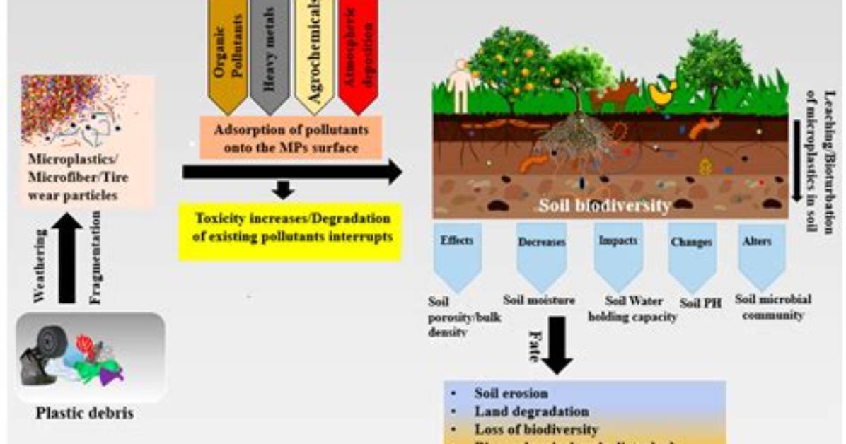 Do Plastic Pollute Soil?