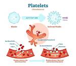 Do Platelets Contain Thrombin?