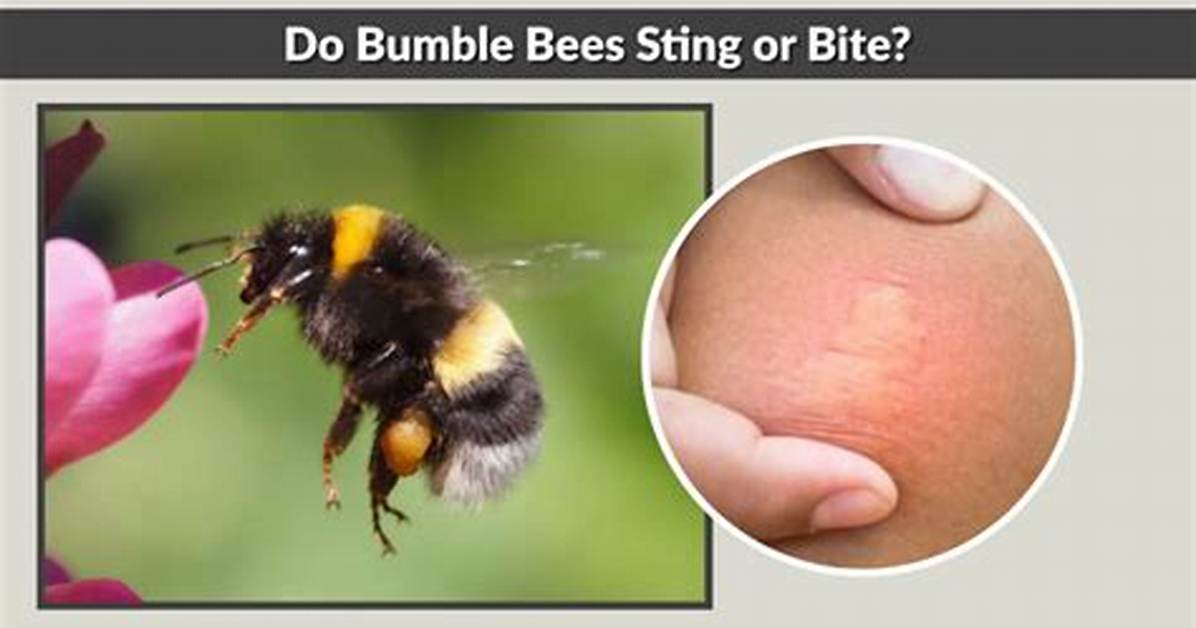 Do Pollinating Bees Sting