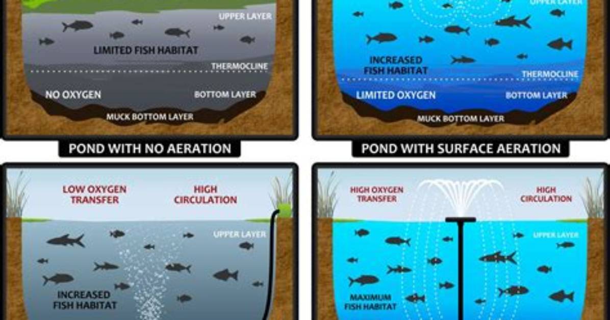 Do Pond Aerators Work? | Contextresponse. Com