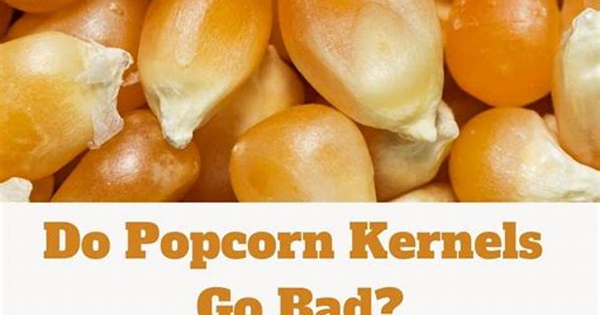 Do Popcorn Kernels Expire?