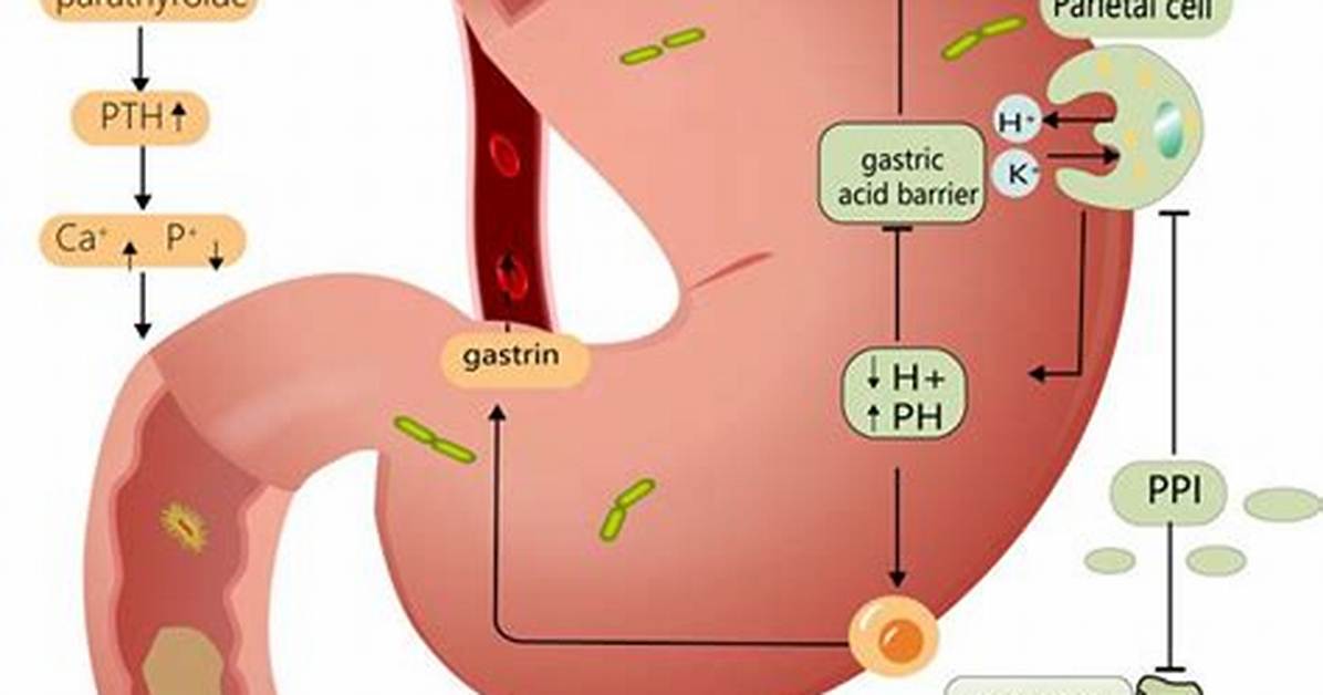 Do Ppis Kill Good Bacteria?