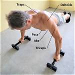 Do Press Ups Build Biceps?