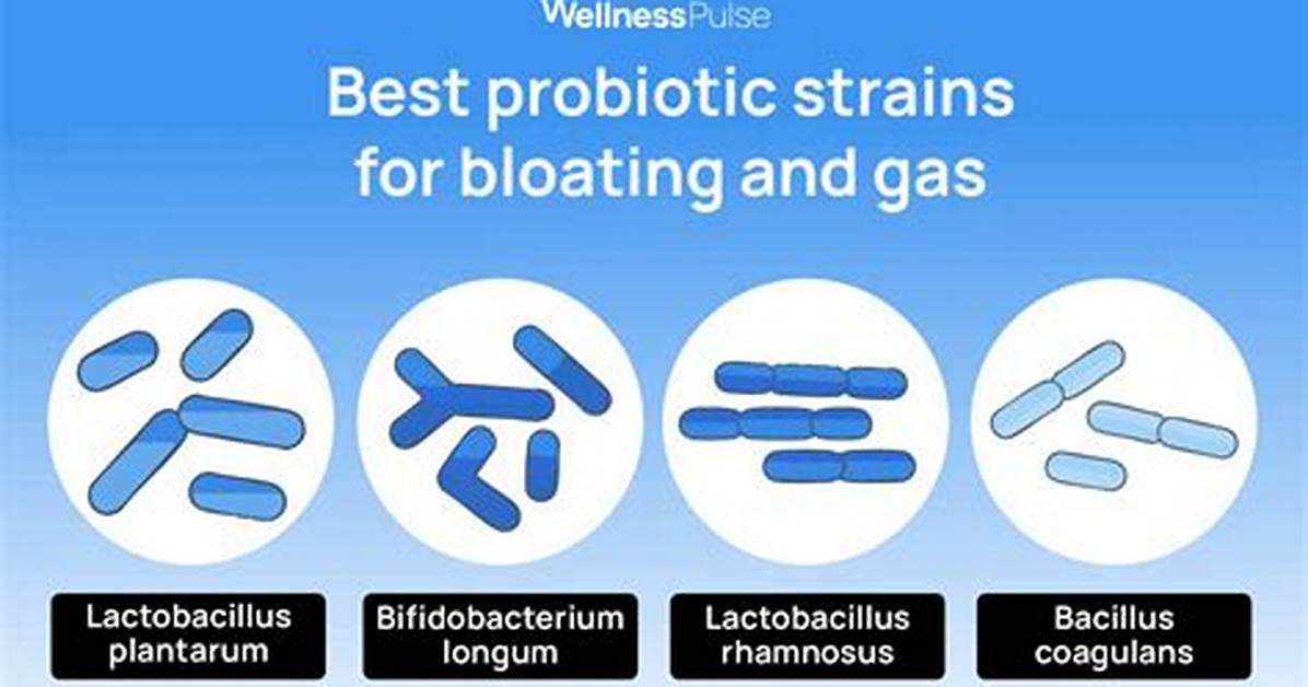 Do Probiotics Help with Bloating