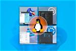 Do Programmers Use Linux or Windows?