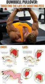 Do Pullovers Work Serratus?