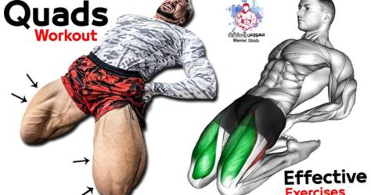Do Quadriceps Flex or Extend?