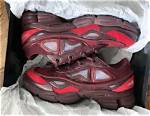 Do Raf Simons Run Big?
