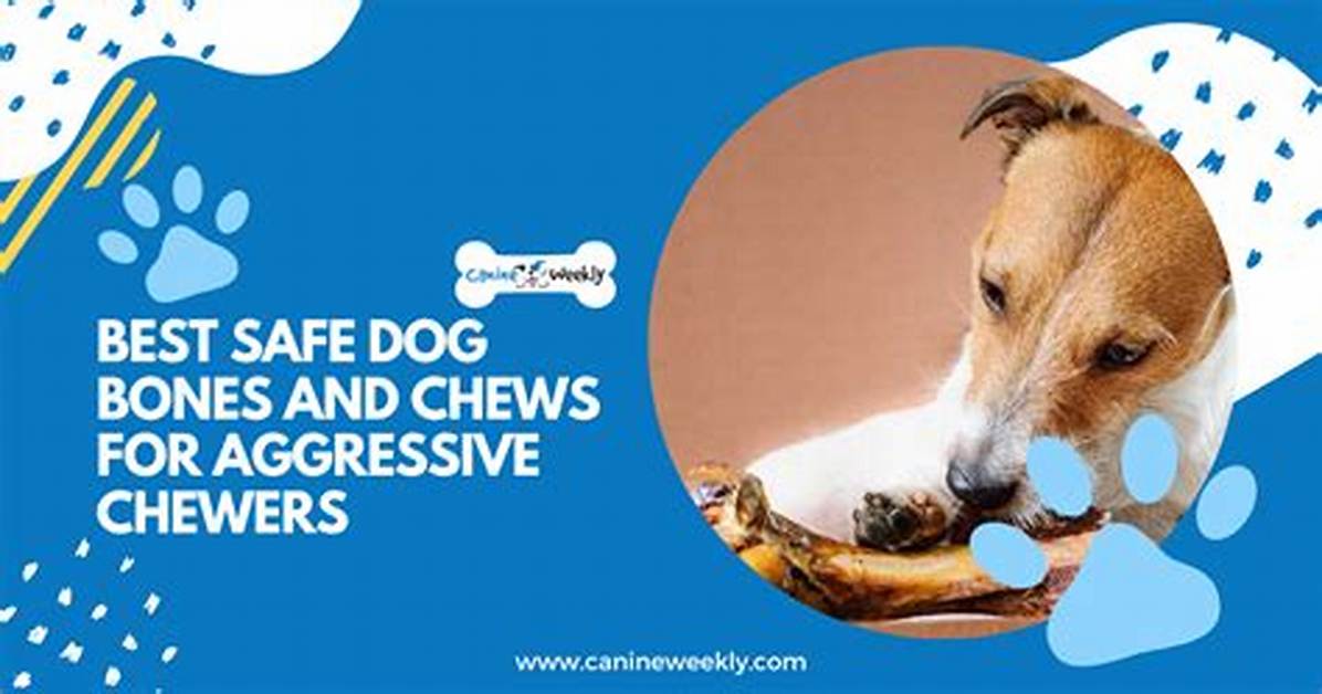 Do Raw Bones Make Dogs Aggressive?