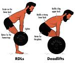 Do Rdls Work Glutes?