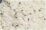 Do Rice Weevils Fly?