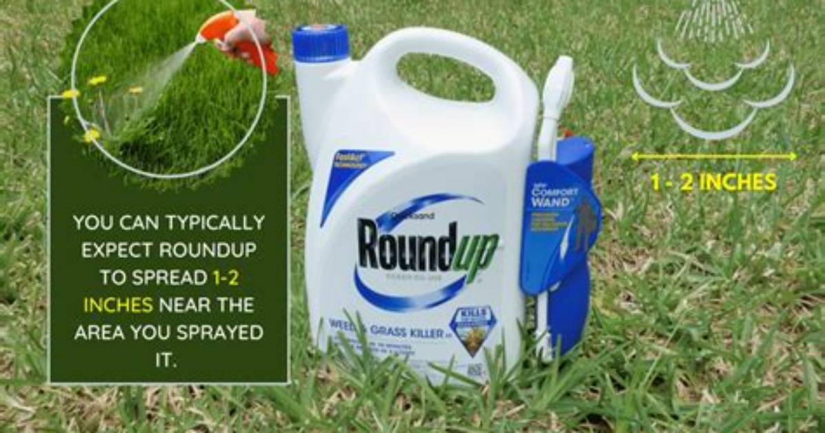 Do Roundup Harm Plants?