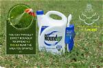 Do Roundup Harm Plants?