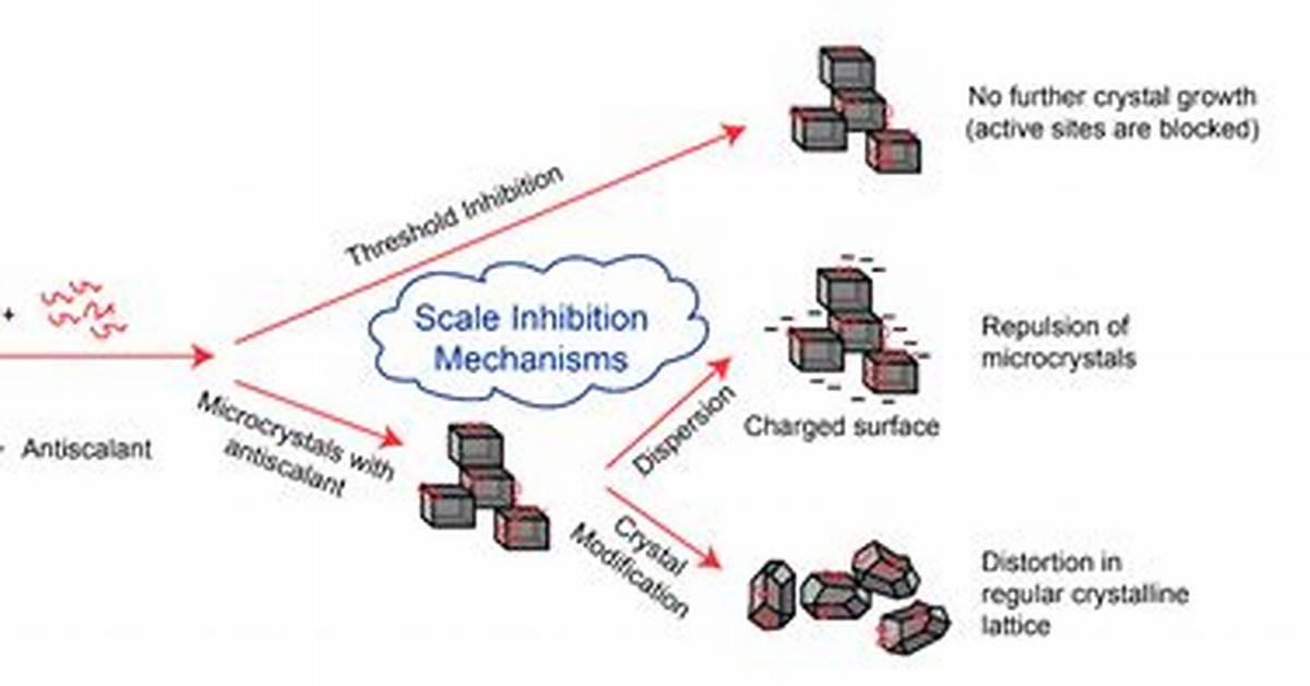 Do Scale Inhibitors Work