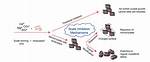 Do Scale Inhibitors Work