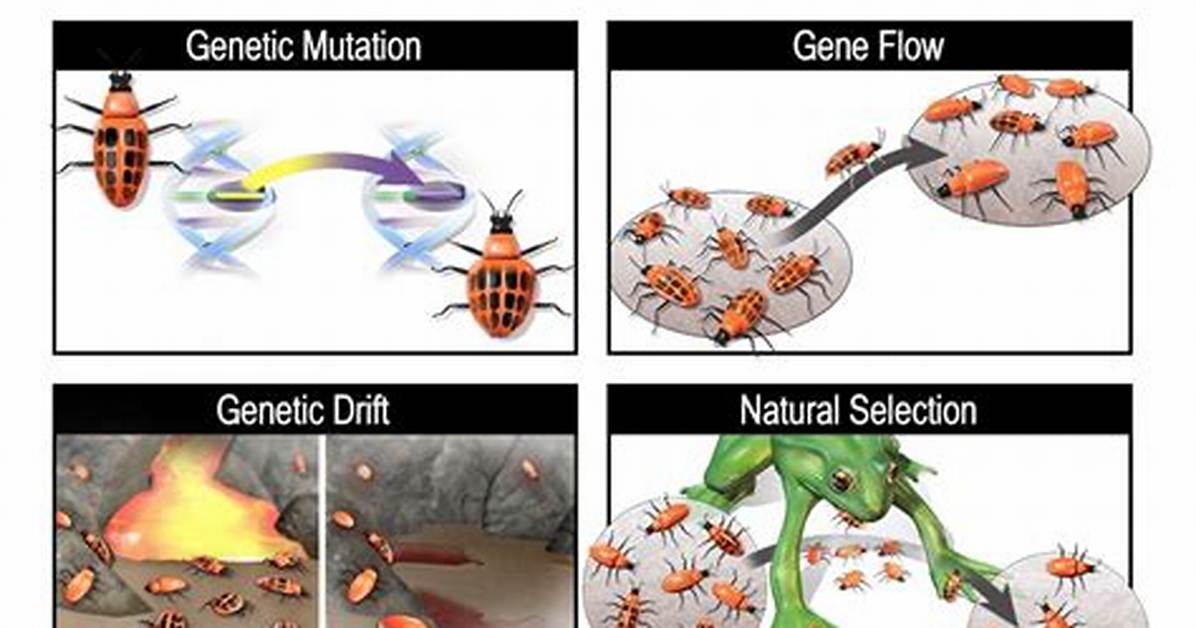 Do Scientists Use Microevolution?