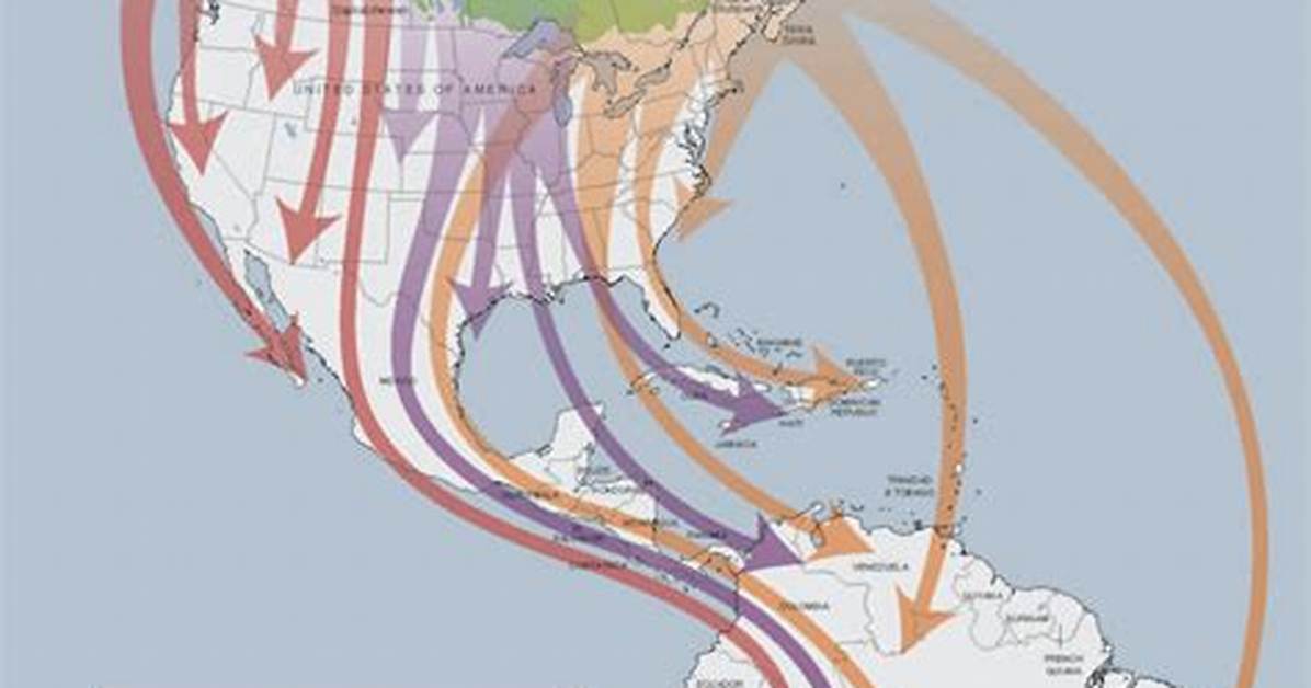 Do Sedge Warblers Migrate?
