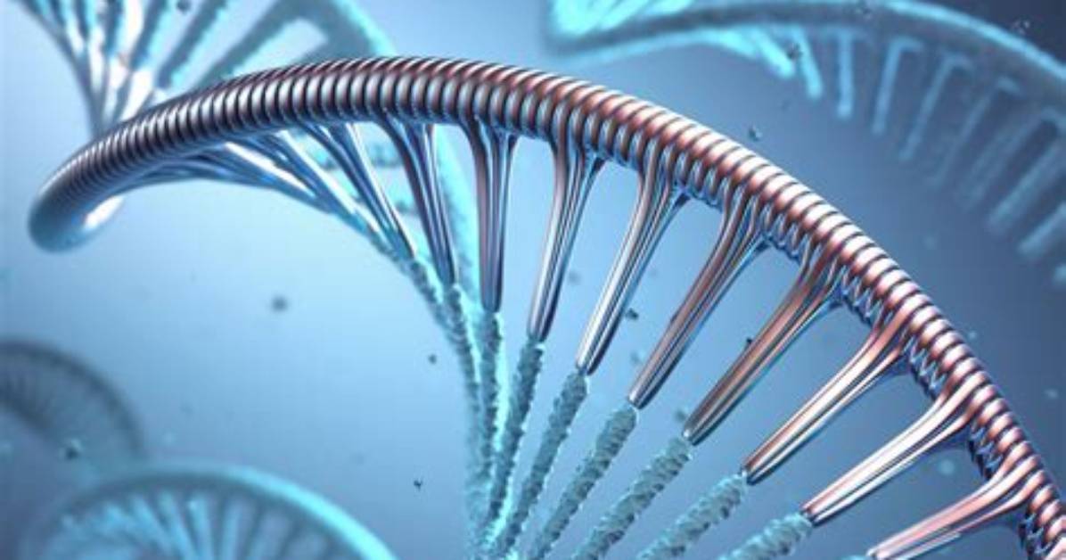 Do Self Replicating Nanobots Exist?