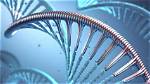 Do Self Replicating Nanobots Exist?